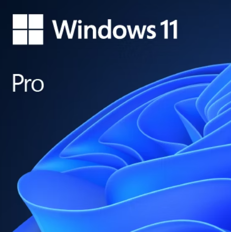 מערכת הפעלה Windows 11 Pro OEM