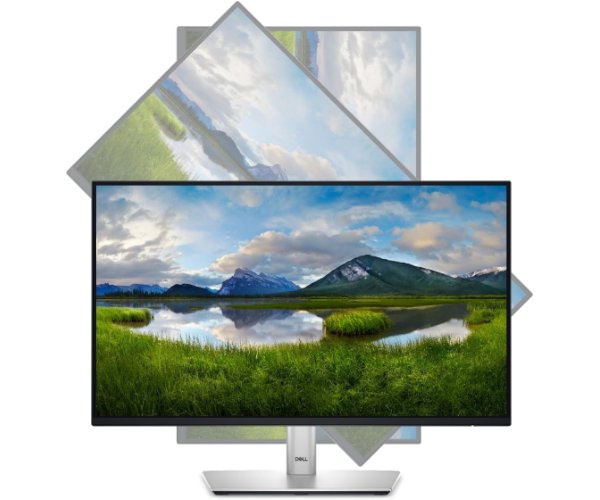 מסך Dell P2425H 24" IPS 100Hz FHD