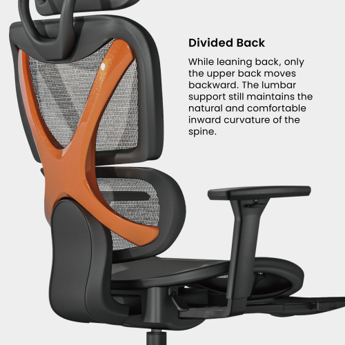 כיסא Lumi SpineX Ergonomic Office