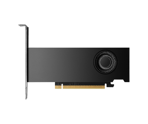 כרטיס מסך Nvidia RTX 2000 Ada Generation 16GB