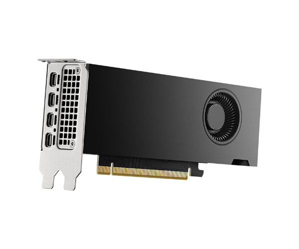 כרטיס מסך Nvidia RTX 2000 Ada Generation 16GB