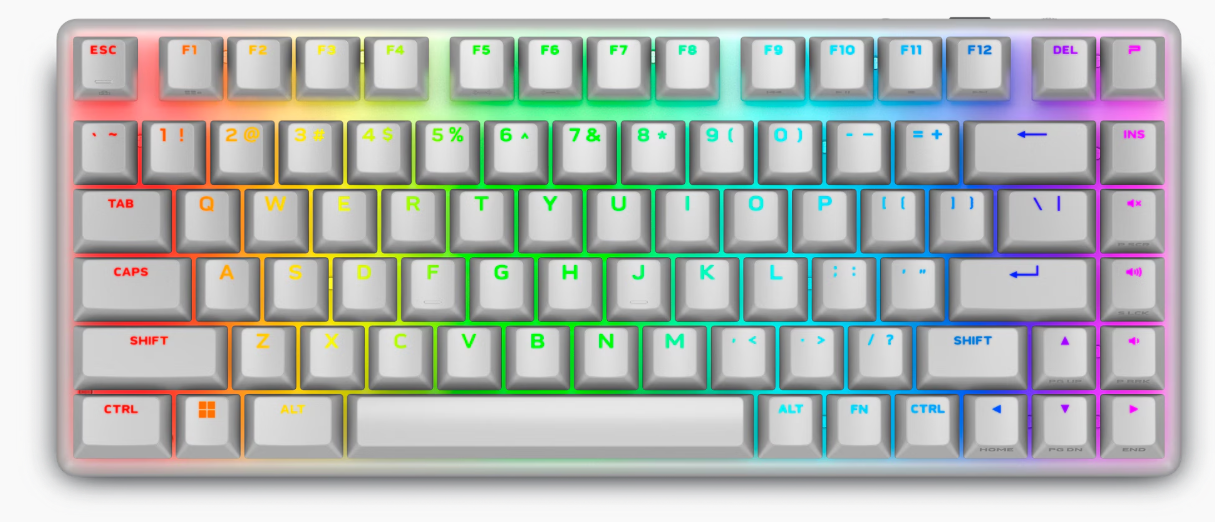 מקלדת גיימינג מכנית אלחוטית Dell Alienware Pro Wireless Gaming Keyboard Lunar Light